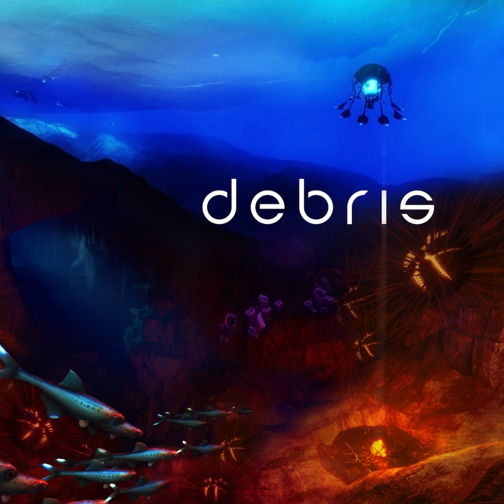 Debris