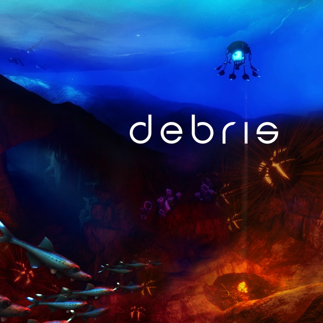 Debris