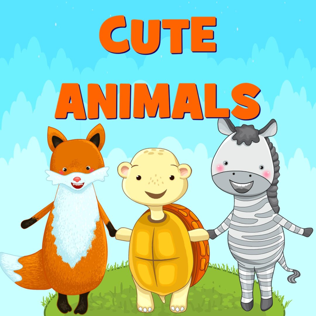 Cute Animals