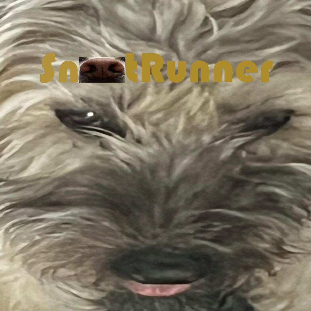 Pacote Snoot Runner