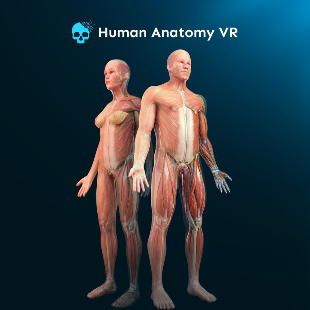 Human Anatomy VR - Falas Store – Jogos Digitais em Angola