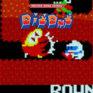 ARCADE GAME SERIES: DIG DUG