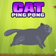 Cat Ping Pong