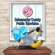 Salamander County Public Television PS4™ and PS5™