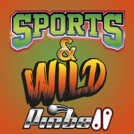 Sports and Wild Pinball