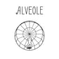 Alveole