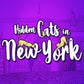 Hidden Cats in New York