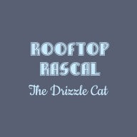 Rooftop Rascal: The Drizzle Cat